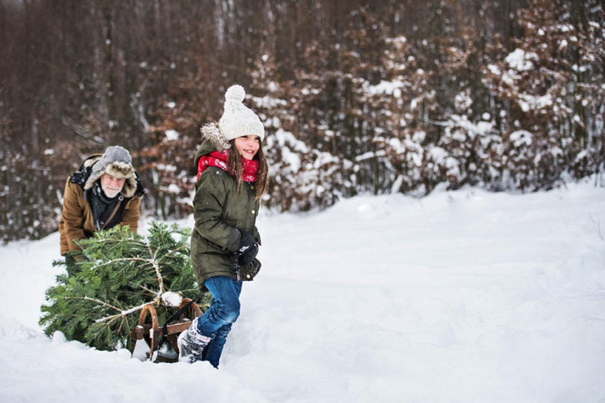 Family foraging a Christmas tree from the woods in the winter.
