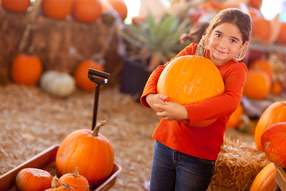 pumpkin patch in Bend, Oregon