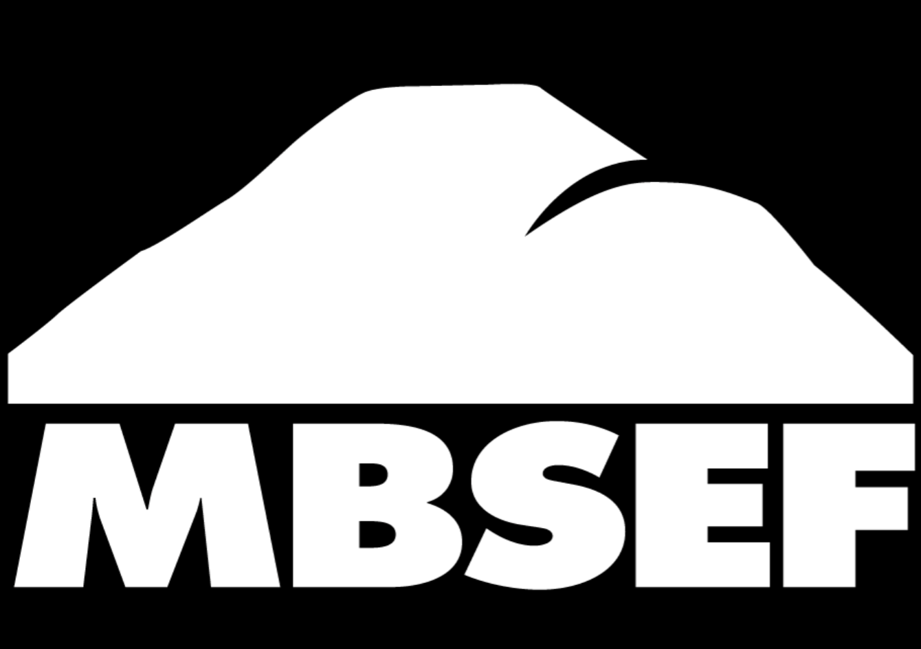 MBSEF logo